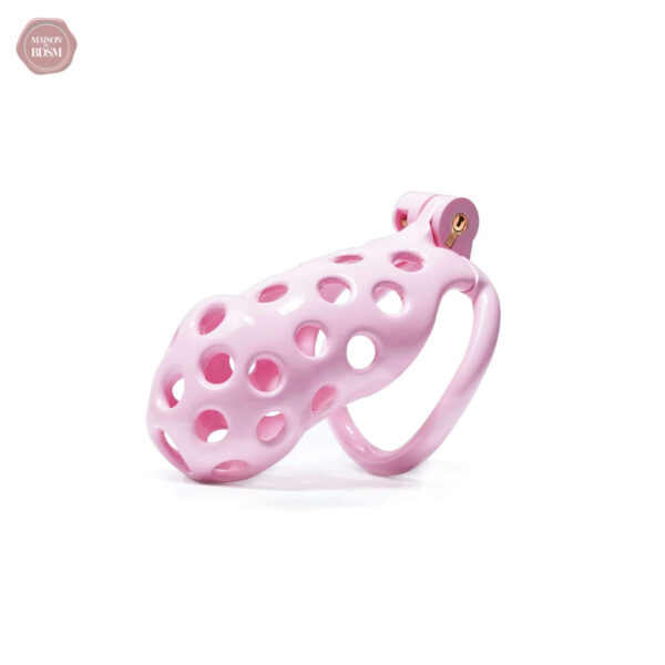 Kit de chasteté en design Pink Hole