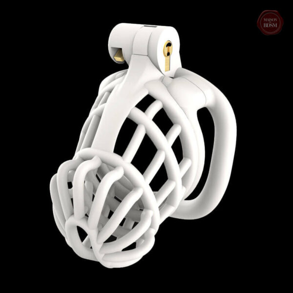 Cage de chasteté ergonomique en 3D Stegosaurus