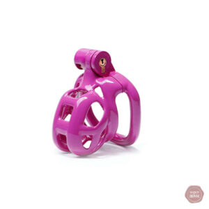 Cage de chasteté ajustable pour des sensations uniques