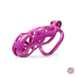 Cage de chasteté pour couples, style Purple Cobra