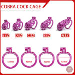 Cage de chasteté avec longueur ajustable de 4,5 à 10,5 cm