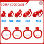 Cage de chasteté Cobra, taille de 4,5 à 10,5 cm