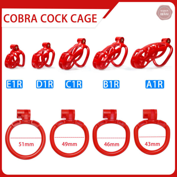 Cage de chasteté Cobra, taille de 4,5 à 10,5 cm