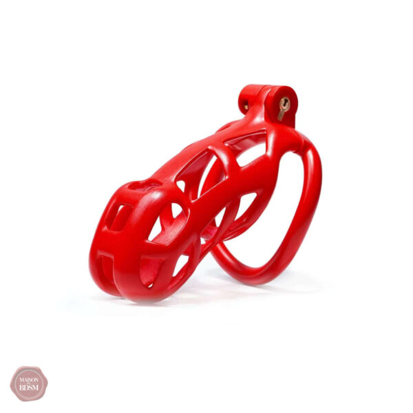 Cage de chasteté ajustable, design Cobra