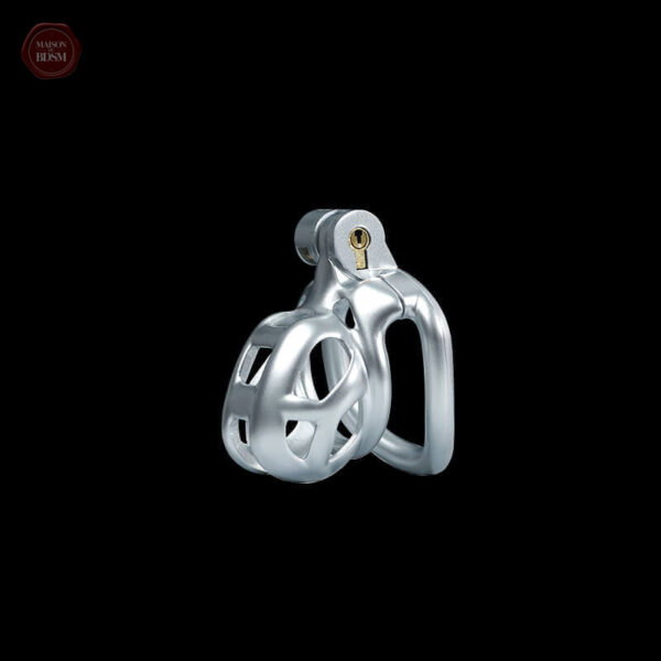 Cage de chasteté Silver Cobra, taille personnalisable pour un confort
