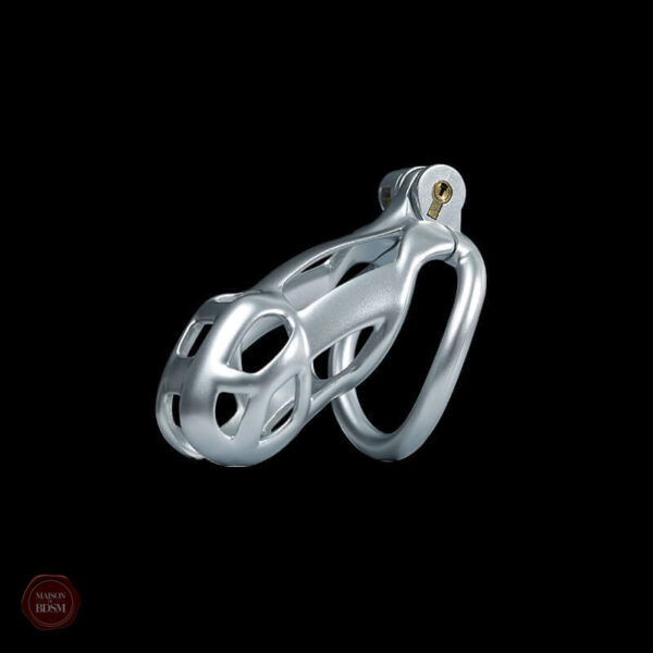 Cage de chasteté Cobra, design élégant et sécurisé pour les utilisateurs