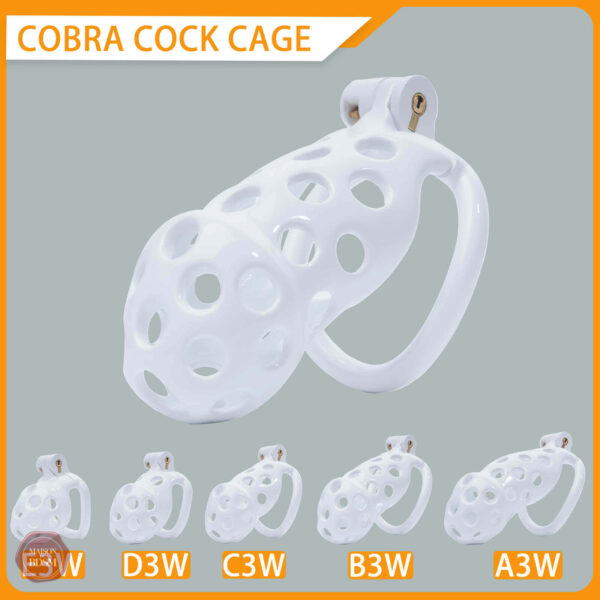 Kit de cage de chasteté Cobra While Hole, 4,50 à 10,50 cm