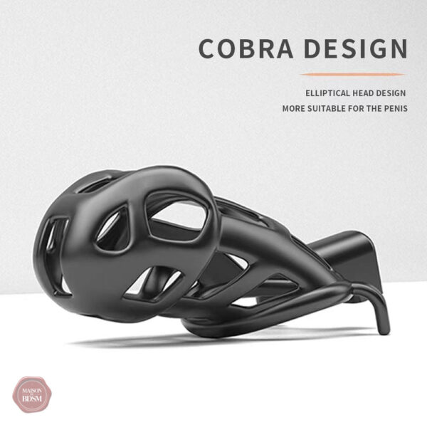 Accessoire de jeu érotique : kit de chasteté Cobra