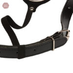 Accessoire de contrôle, ceinture de chasteté homme