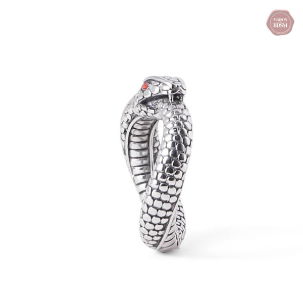 Gland du serpent : accessoire de plaisir unique
