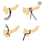 Accessoire de bondage pour testicules et pénis