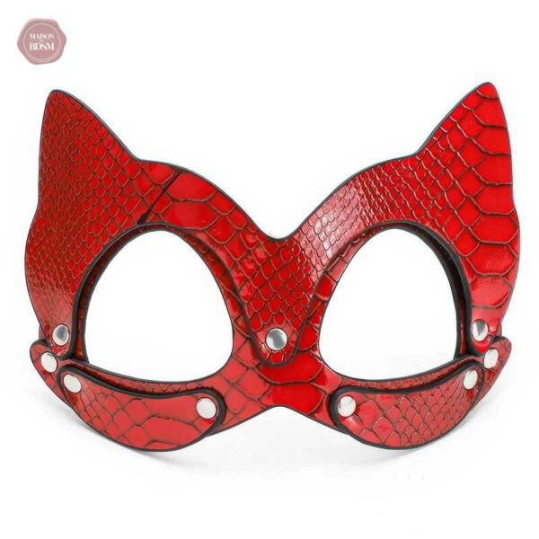 Accessoire de fetish en cuir rouge