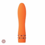 Mini Bullet pour une expérience sensorielle unique