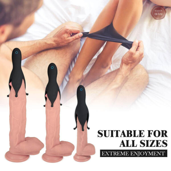 Accessoire de plaisir pour couple avec 10 modes différents