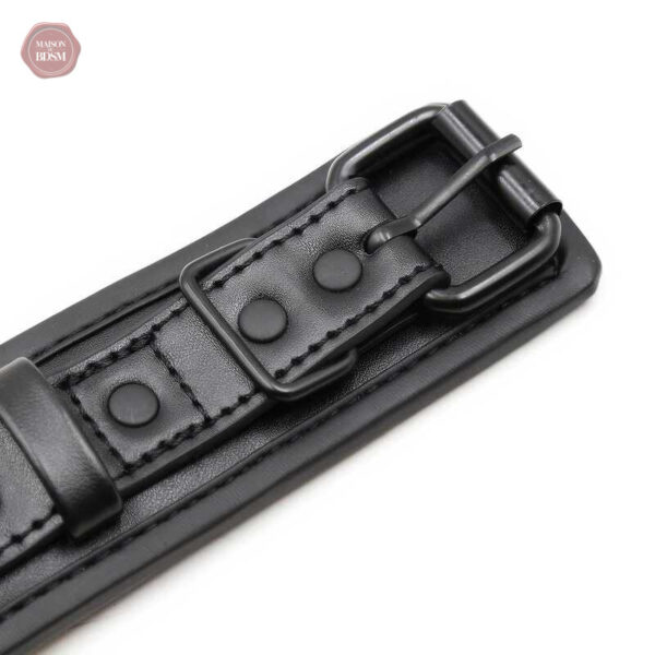 Menottes de bondage élégantes en noir et rose