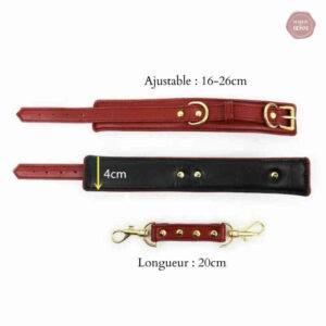 Accessoire BDSM haut de gamme pour couples