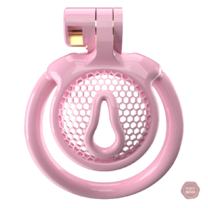 Cage de chasteté pour jeux de domination Sissy