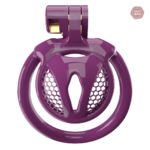 Accessoire de contrôle pour sissy