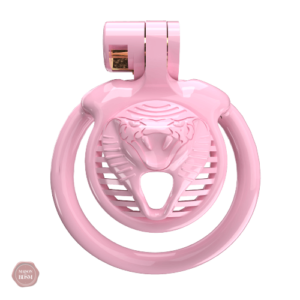 Cage de chasteté pour sissies et BDSM
