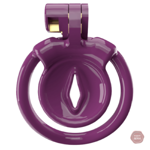 Cage de chasteté pour Sissy, design compact et discret