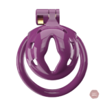Cage de chasteté compacte pour sissy