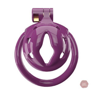 Cage de chasteté compacte pour sissy