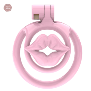 Cage de chasteté compacte pour sissy