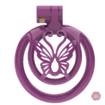 Cage de chasteté Sissy WX-4, design ergonomique