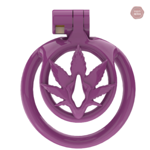 Cage WX-5 Sissy, design compact pour l'intimité