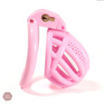Cage de chasteté design innovant et élégant