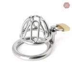 Cage de chasteté compacte pour une expérience de soumission
