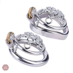 Cage de chasteté métal Sissy à cercles soudés