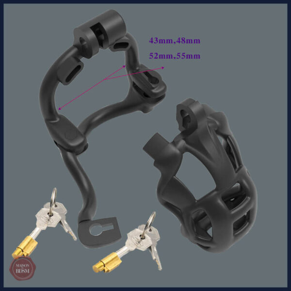 Cage de chasteté sécurisée avec double verrouillage