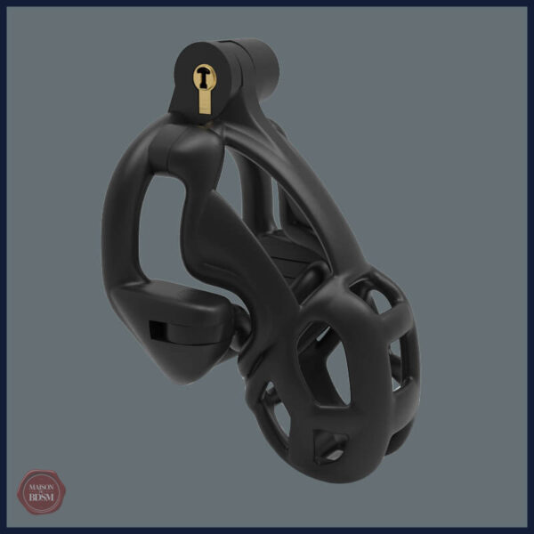 Cage de chasteté confortable et sécurisée en impression 3D