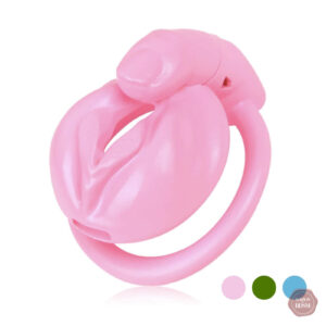 Nouvelle cage de chasteté pour clitoris
