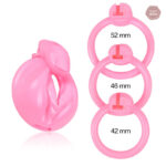 Accessoire de plaisir : cage de chasteté pour clitoris