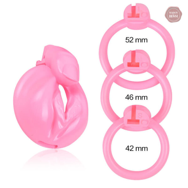 Accessoire de plaisir : cage de chasteté pour clitoris