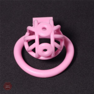 Cage de chasteté stylée avec design unique