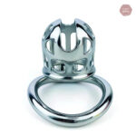 Cage de chasteté moderne en acier inoxydable