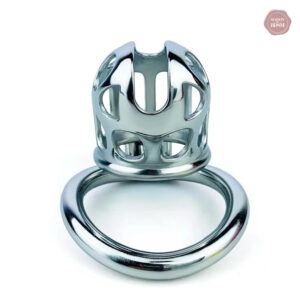 Cage de chasteté moderne en acier inoxydable