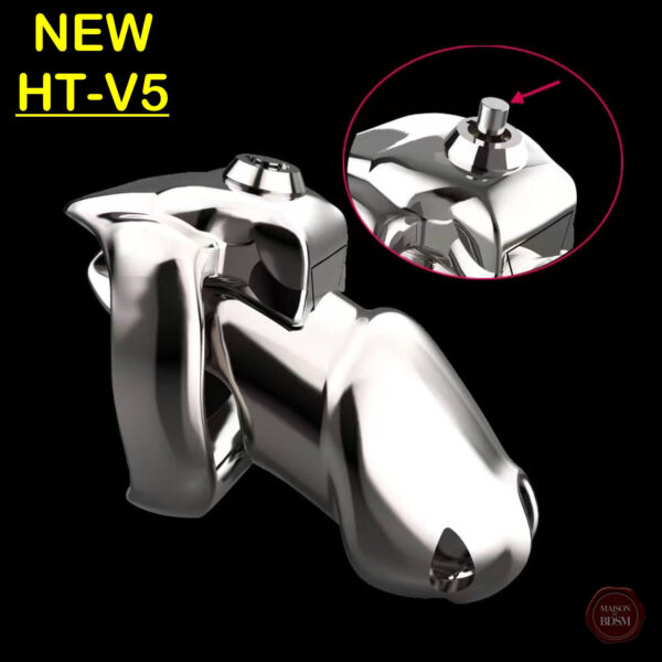 Cage de chasteté en acier inoxydable HT-V5