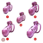 Cage de chasteté crâne, accessoire de soumission