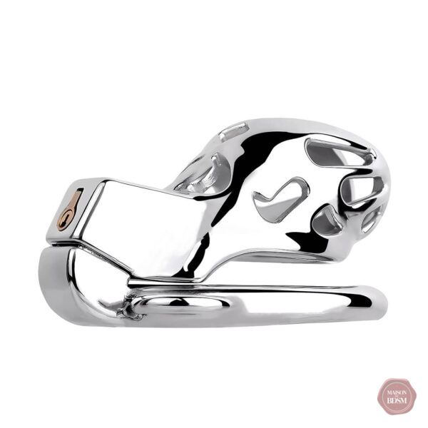 Cage de chasteté homme design Cobra