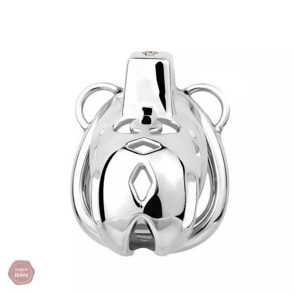 Cage de chasteté pour homme, acier inoxydable