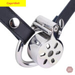 Cage de chasteté homme en conserve