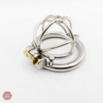Minitype cage de chasteté pour homme