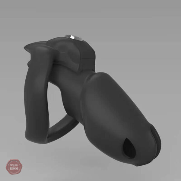 HT-V5 : solution discrète pour des jeux de domination