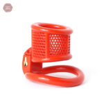 Cage de chasteté robuste, impression 3D innovante