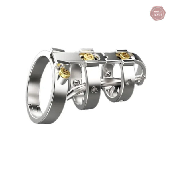 Cage de chasteté pour les passionnés de mode alternative