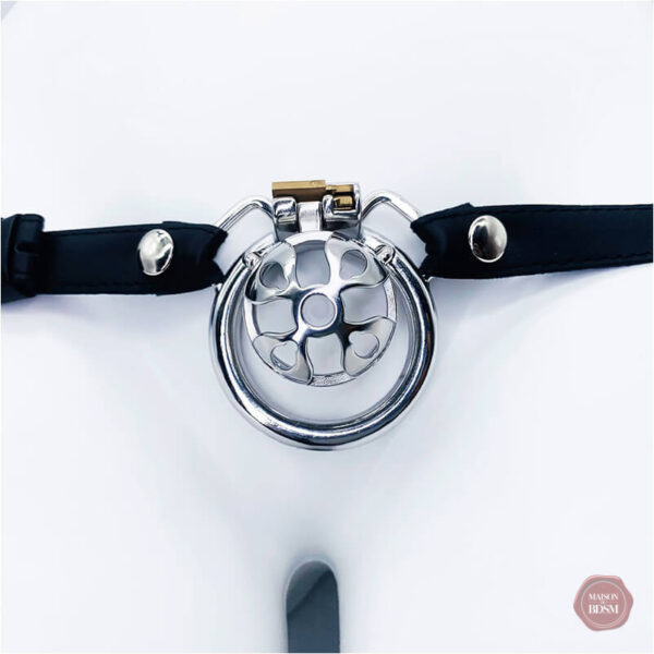Cage de chasteté petite taille, confort assuré